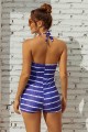 Blue Striped Halter Strap Sweetheart Neck Ruching Tummy Control Casual OnePiece Swimsuit